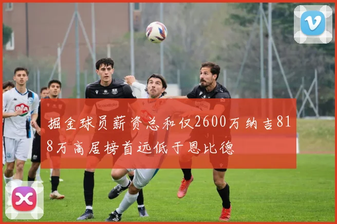 掘金球员薪资总和仅2600万纳吉818万高居榜首远低于恩比德