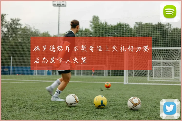 施罗德怒斥东契奇场上失礼行为赛后态度令人失望