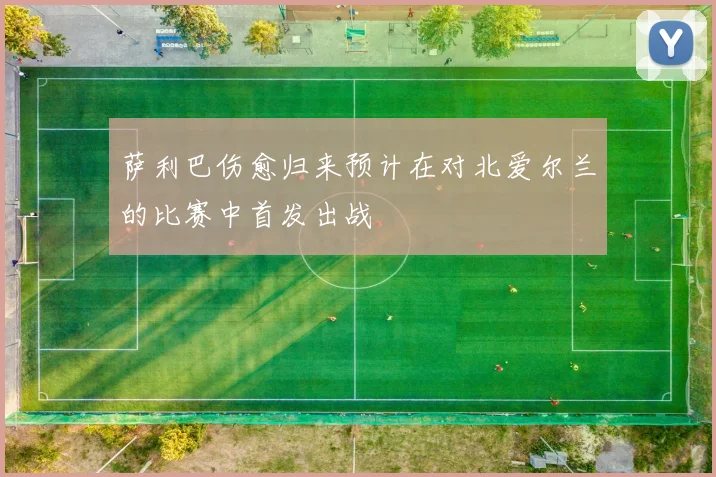 萨利巴伤愈归来预计在对北爱尔兰的比赛中首发出战